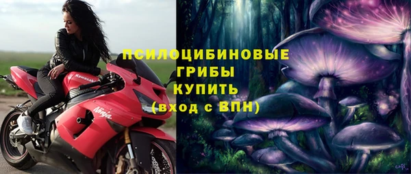 амф Алексеевка